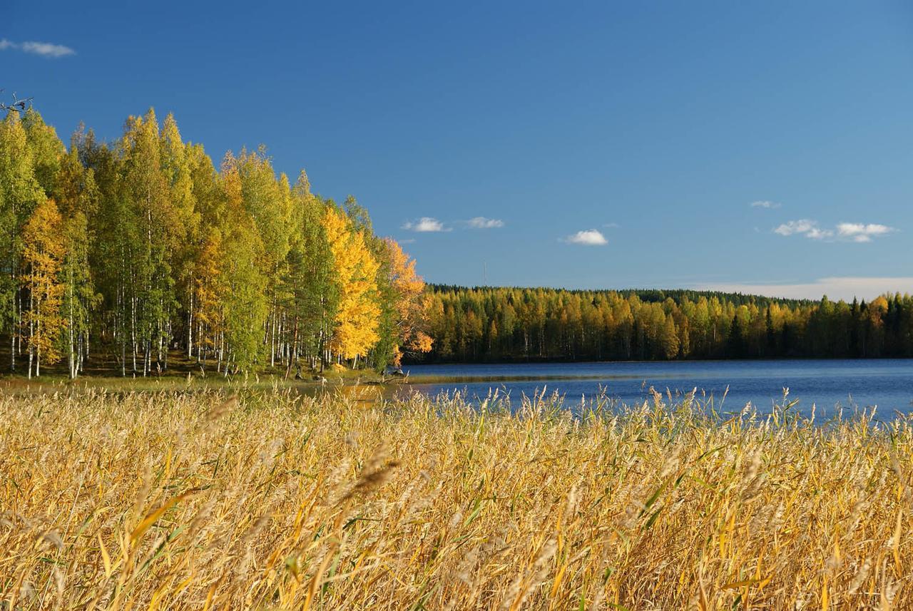 Ik Hotel & Camping Keuruu Eksteriør bilde